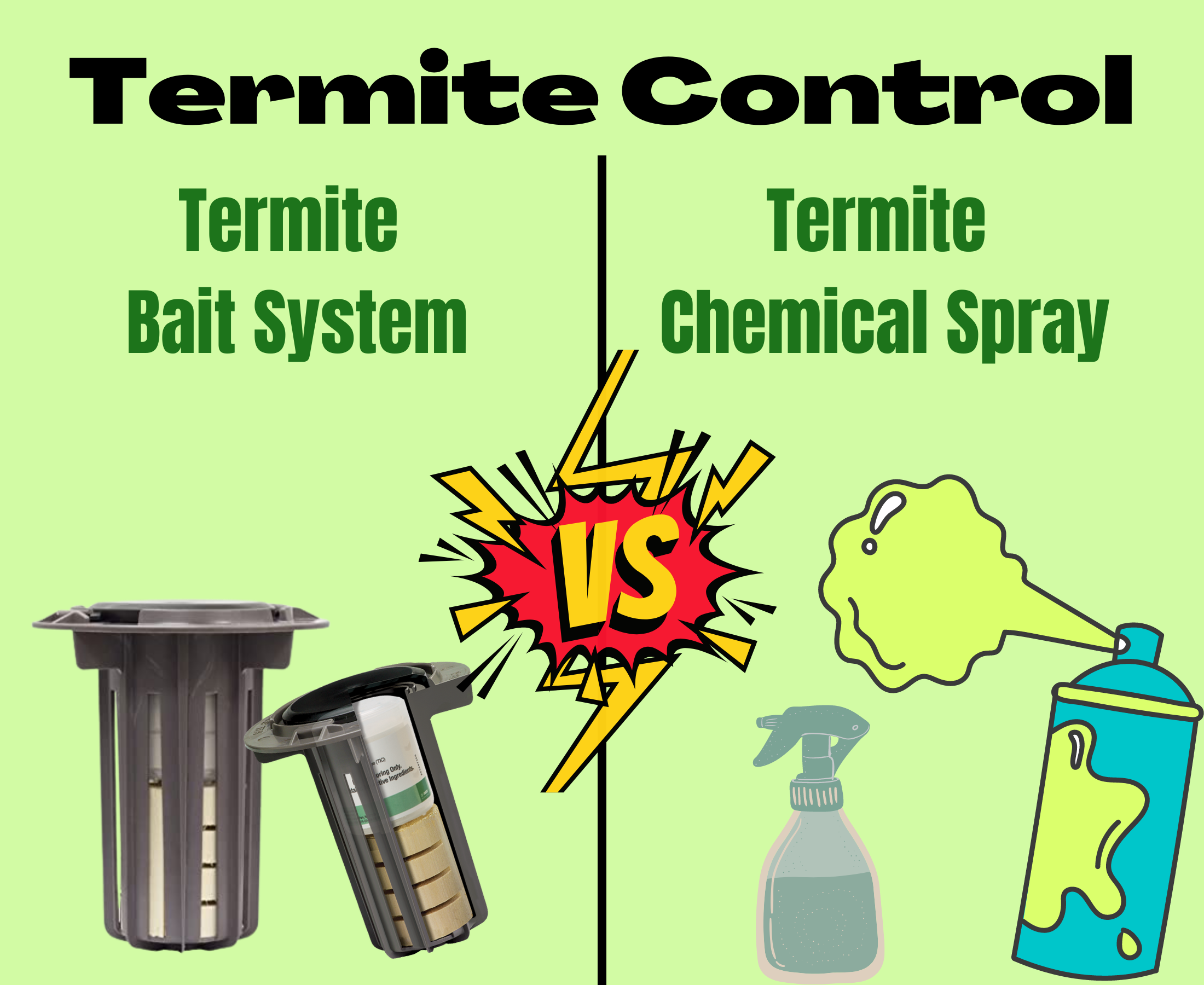 Everything you are curious about termite control