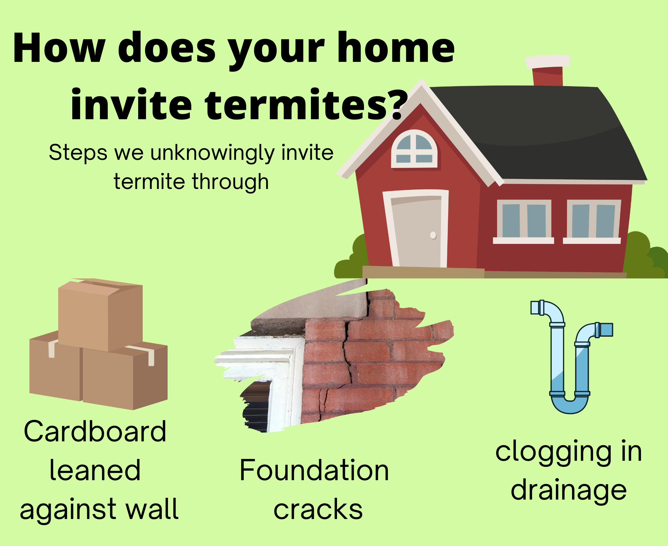 Everything you want to know about termite treatment while constructing homes?