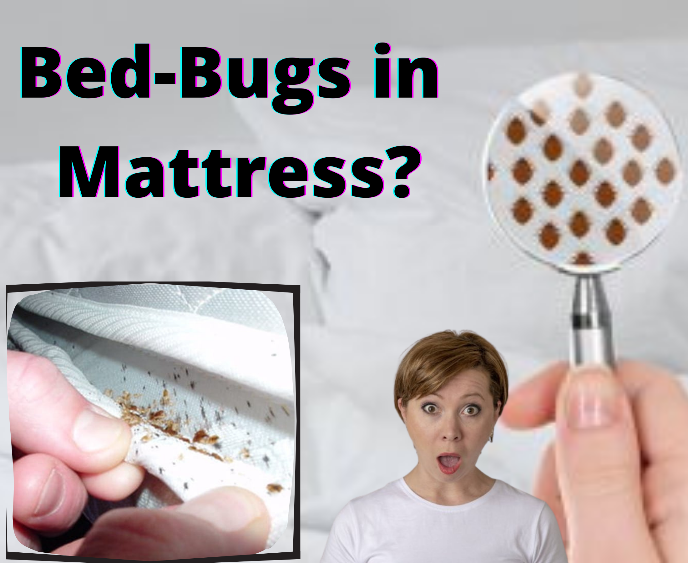 How to get rid of bed bugs in a mattress?
