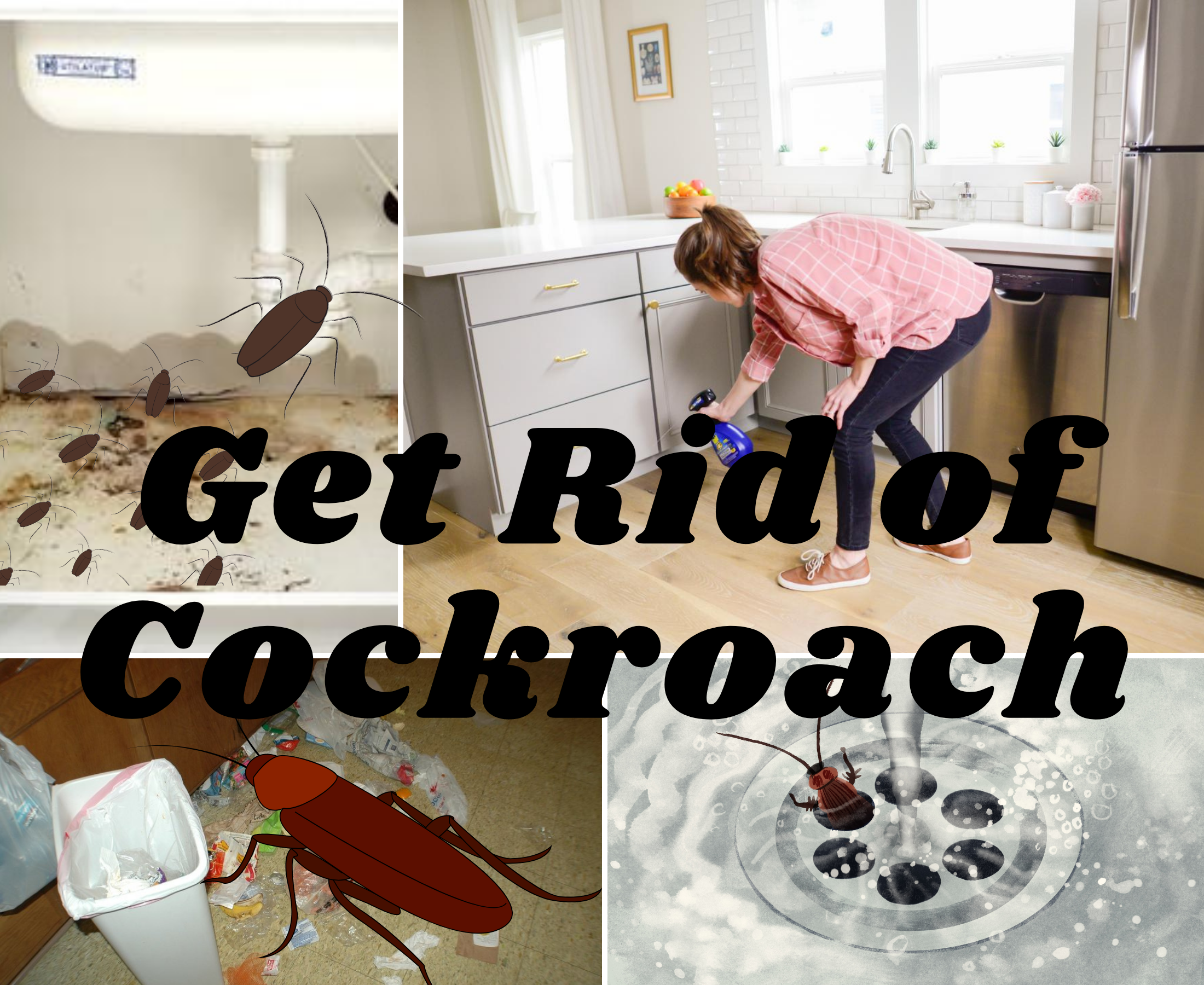 Is cleaning your kitchen enough to get rid of cockroaches?