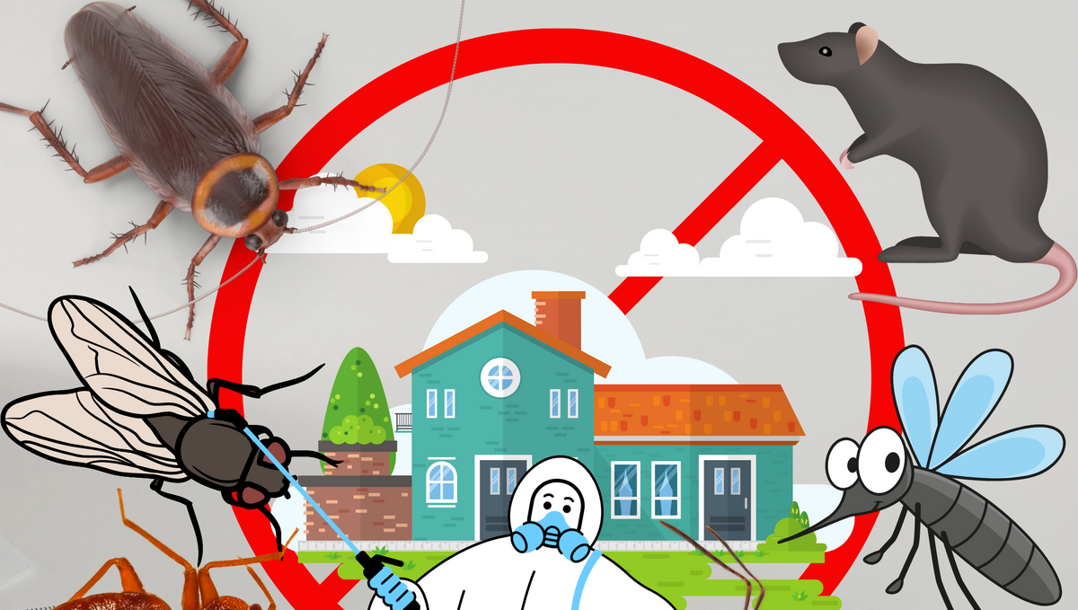 What pest can pest control manage?