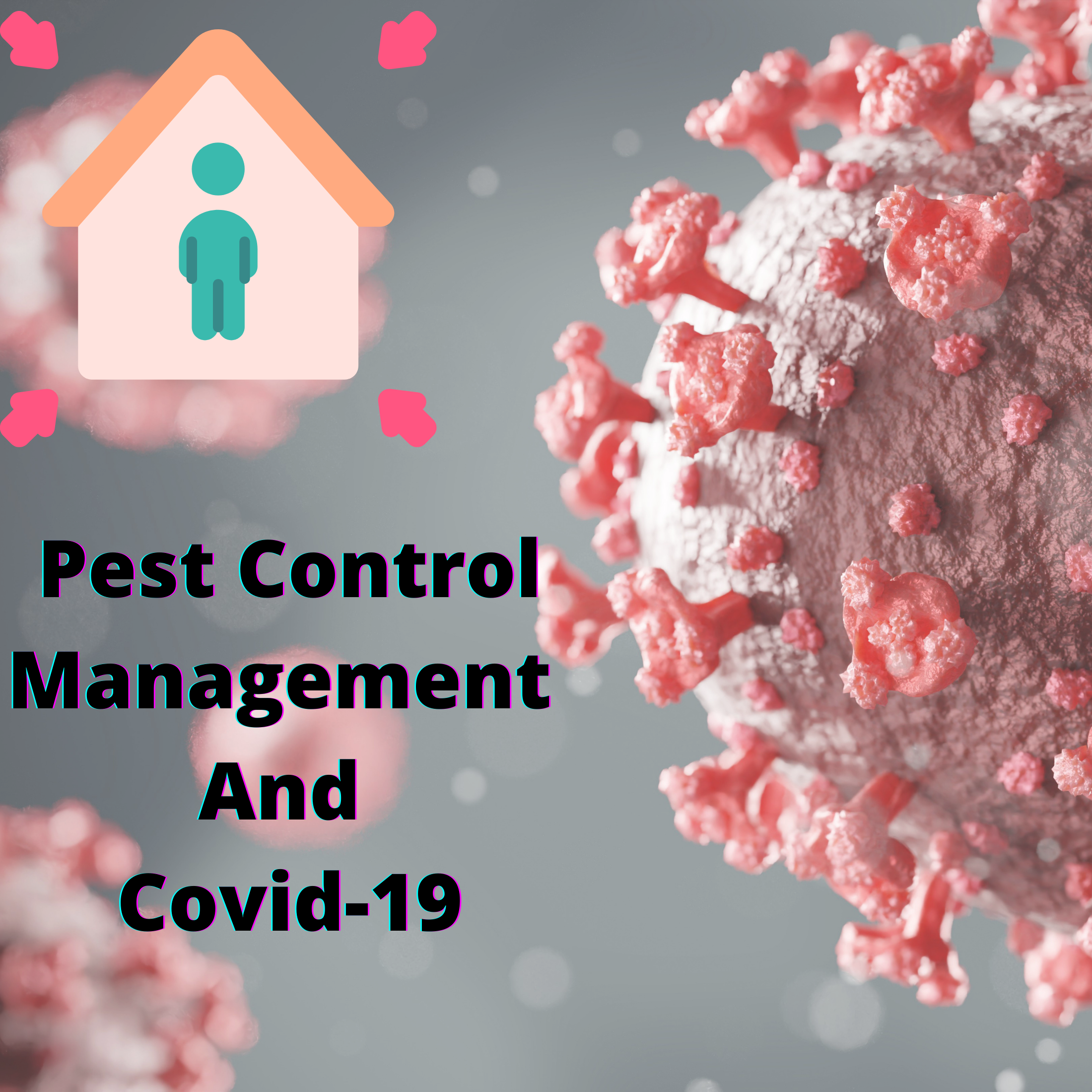 Post covid-19 Pest Control Necessary or not