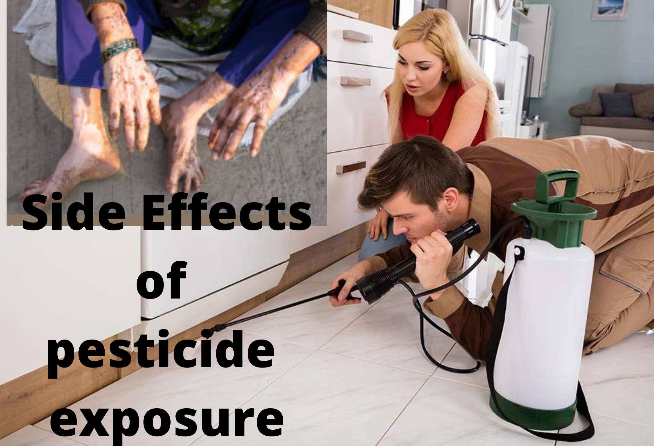Pest Control Exposure Effect on Human Health