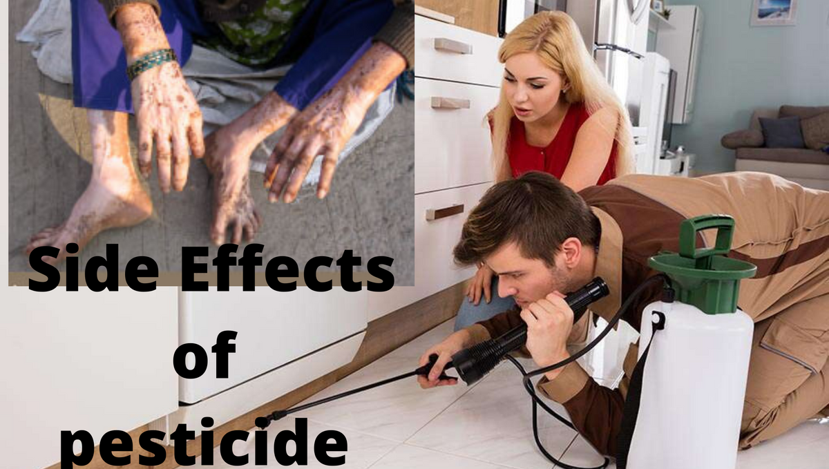 Pest Control Exposure Effect on Human Health