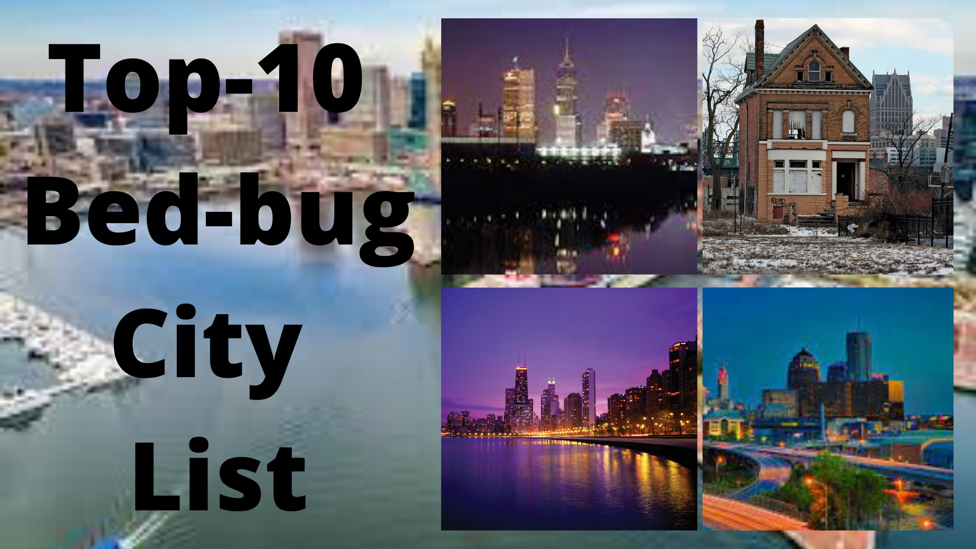 Top-10 bed bug infected cities of the world