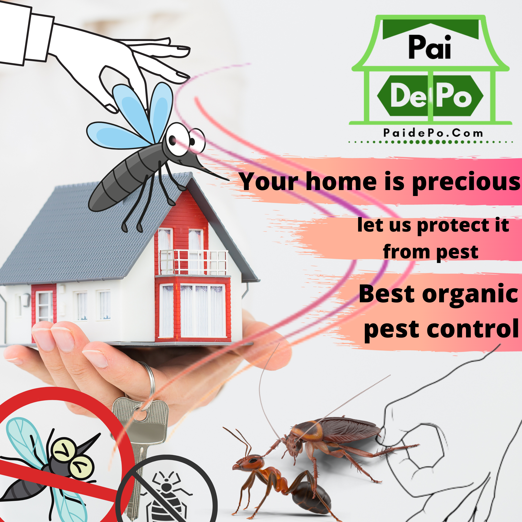 Which pest control company is best in India?