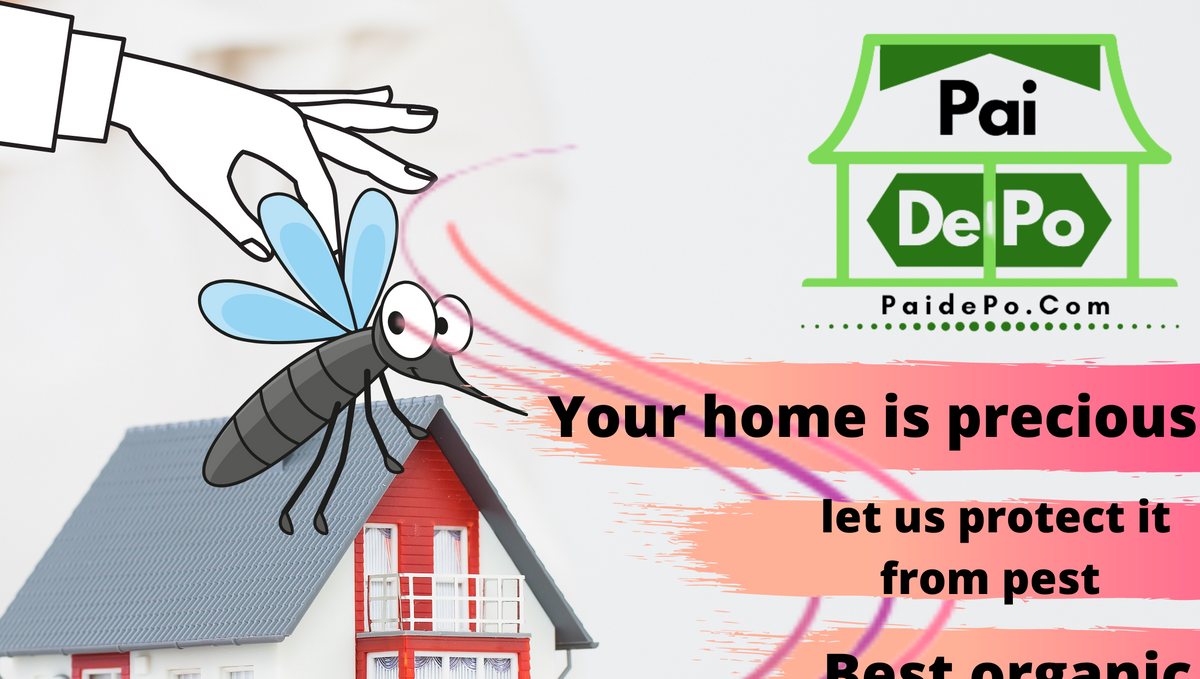 Which pest control company is best in India?