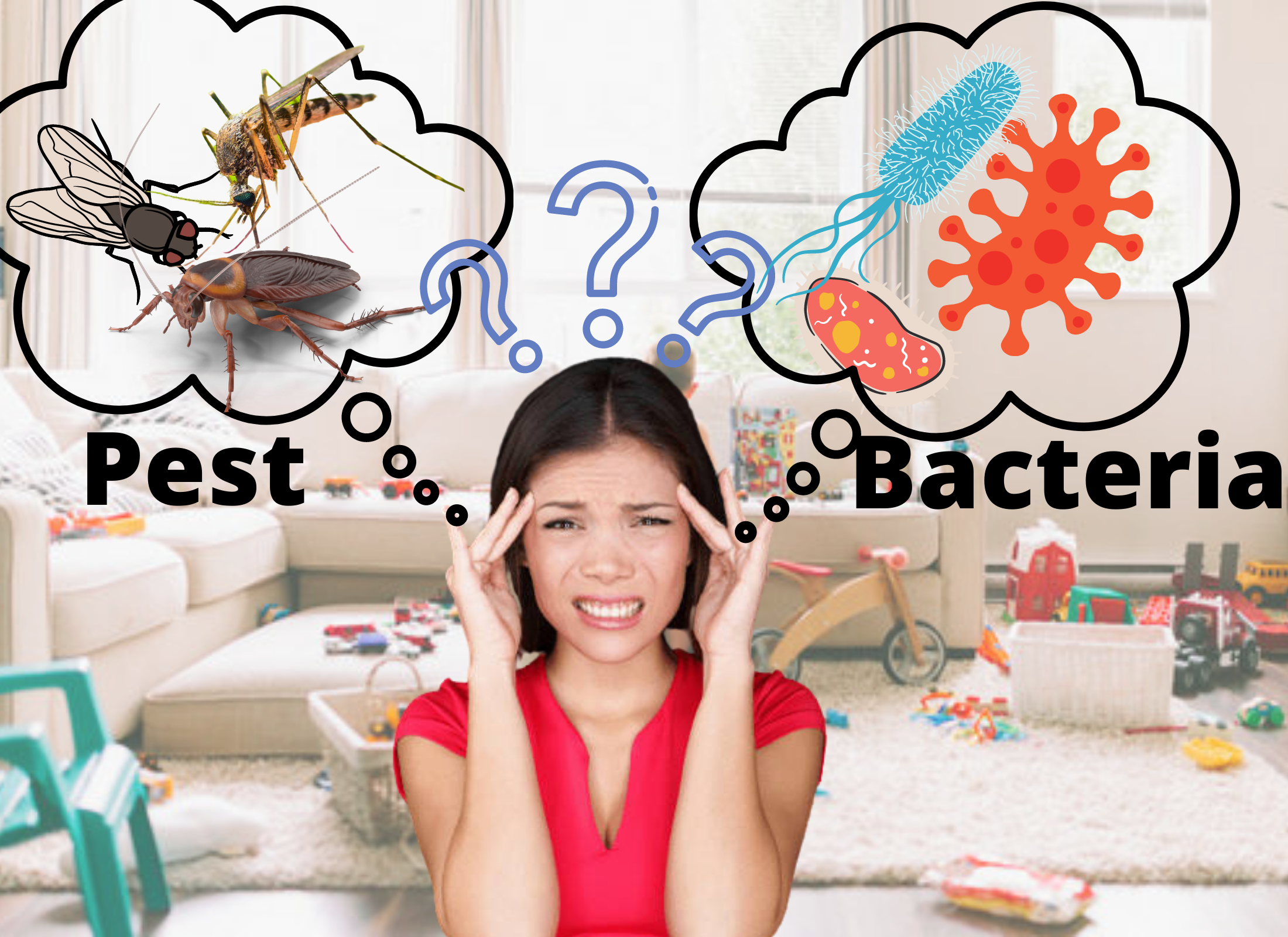 Why house fly, mosquito, and cockroach are different from bacteria?