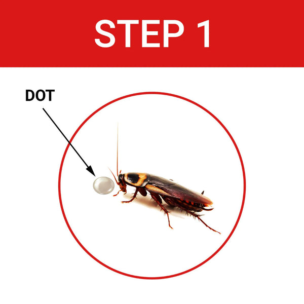 Cockroach Dot Anti Cockroach Gel Roach Killer Bait (20 Gram Pack)