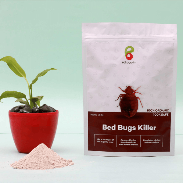 Pai Organics Certified Organic Bed Bug Killer Pack of One 250gm