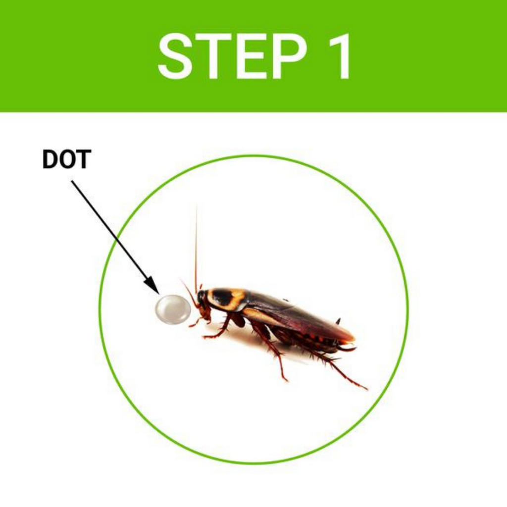 Cockroach Dot™ Cockroach Killer Injection with Neem Extract