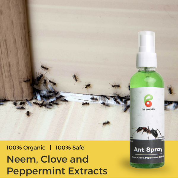 Pai Organic Natural Ant Repellent 100ml