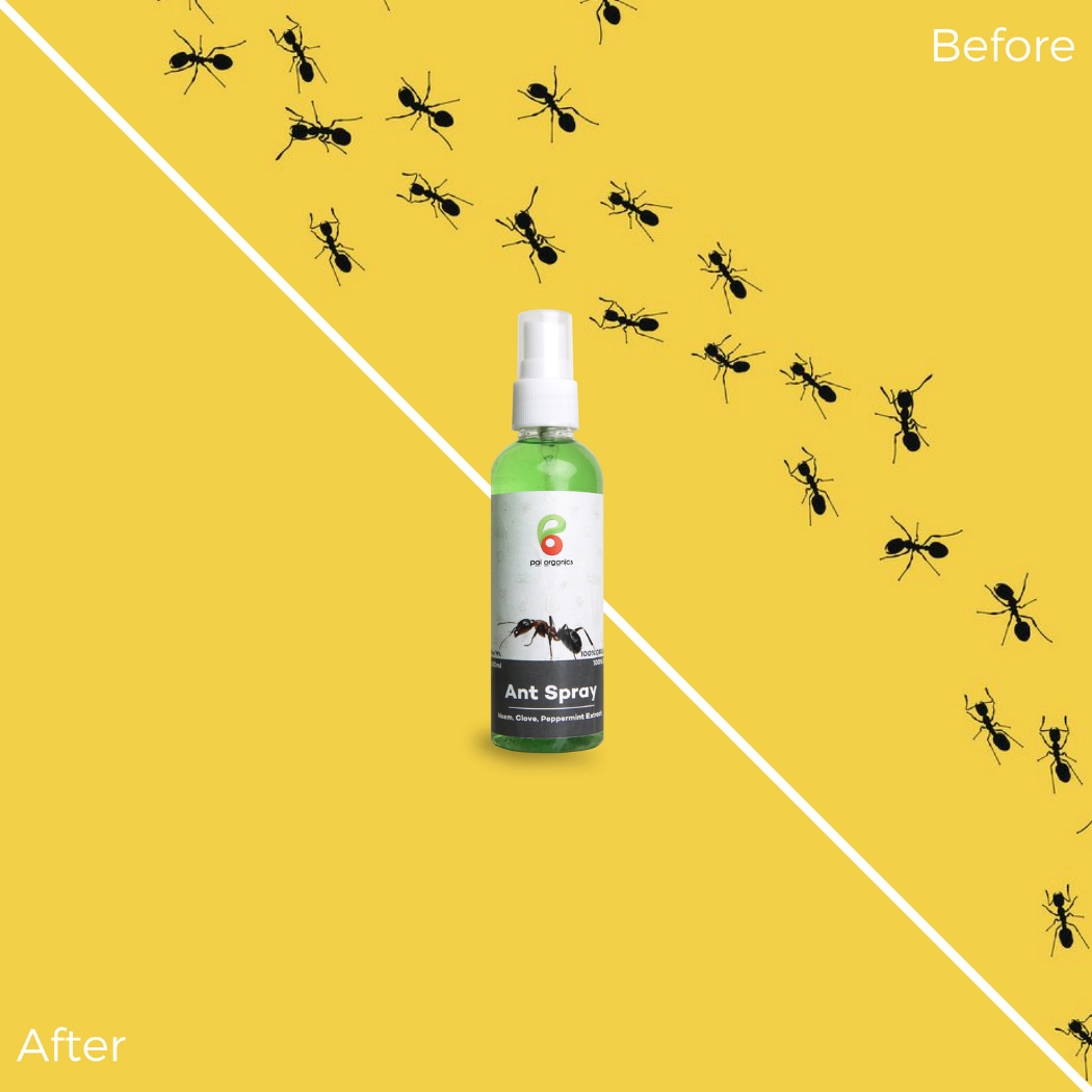 Pai Organic Natural Ant Repellent 100ml