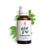 Camphor Essential Oil (30gm)