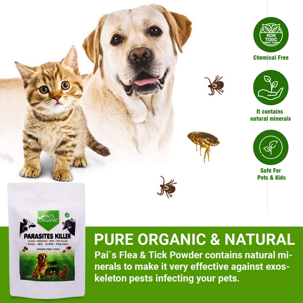 Pai's Organic Parasite Killer Dog Tick Killer All In One For All Animals