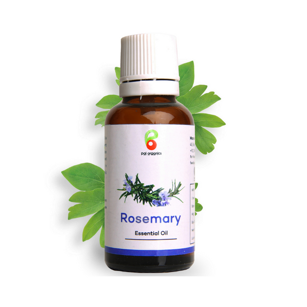 Rosemary Essential Oil (15gm)