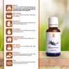 Rosemary Essential Oil (30gm)